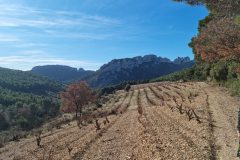 0b7c1557-9870-4871-90ff-e44966d48873