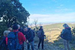 234c2ab2-1250-4c62-aa9c-be1f31118682