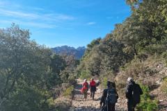 36987570-3316-46c5-83b1-634dc59924e9