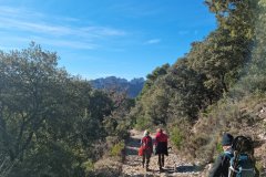 44170d51-60d4-4628-ad6b-bc2279f443a8