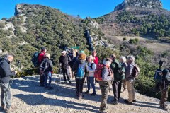 88193c28-7960-4491-ad6b-984dd43fede0