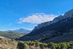 88c762e9-c694-41b5-b9c9-c94b12683d7d