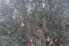 fb3c650c-1708-4b6e-bcee-5a0ed9f347fc